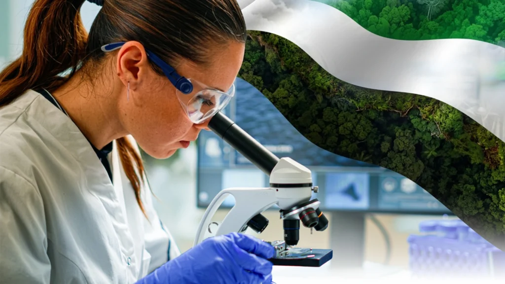 investigacion en salud